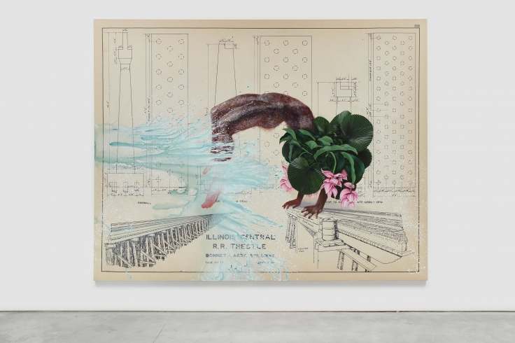 Industrial diagram with overlaid figure, tropical flowers, painted water